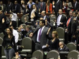 El PAN afirma que la iniciativa no puede ser aprobada con sólo el voto del PRI y del PRD. SUN /