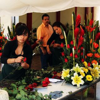 Mexicanos consumen 550 MDD en flores al año