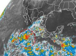 El fenómeno se encuentra en las costas de Jalisco, Colima y Michoacán, protección civil alerta para tomar medidas necesarias. ESPECIAL /