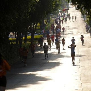 Cierres totales y parciales por Maratón de Guadalajara