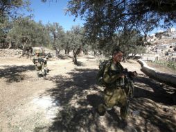 Soldado israelí patrulla huertos de olivos Palestinos para prevenir cualquier ataque. AFP /