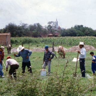 Señalan que Jalisco avanza en la seguridad alimentaria
