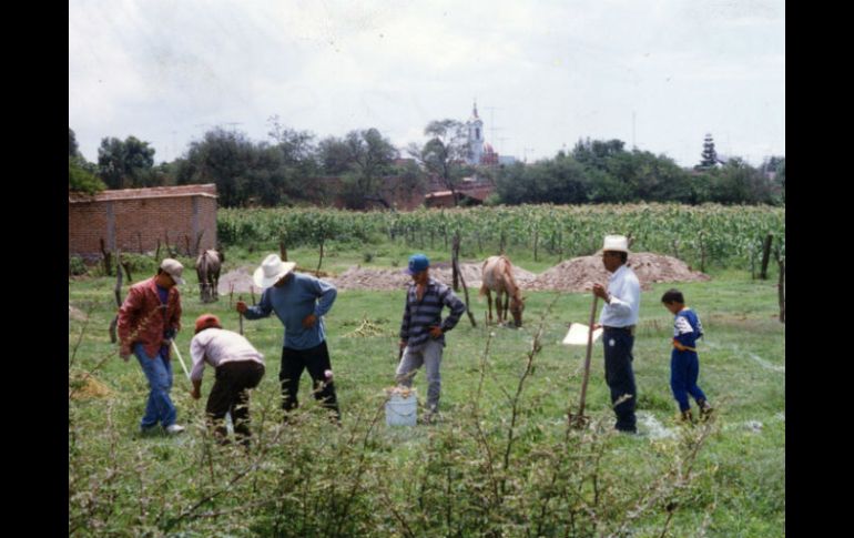 El objetivo del proyecto es trabajar en el desarrollo de mejores oportunidades para el sector rural. ARCHIVO /