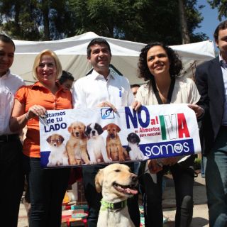 El PAN, presionado por presupuesto de egresos: Cordero