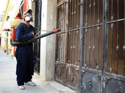 La SSJ lanzará hoy la licitación para la compra de más fumigante y equipo para los brigadistas. ARCHIVO /