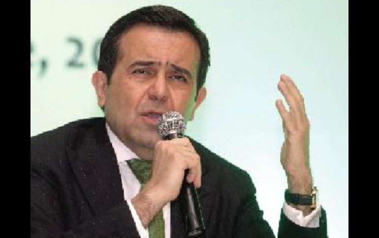 El titular de la SE habló de la medida precautoria para no otorgar permisos a estos cultivos. EE  /