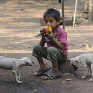 El hambre perdura aunque se producen alimentos suficientes: FAO