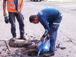 El suministro de gas en la zona fue cerrado para evitar que se siguiera escapando.  /