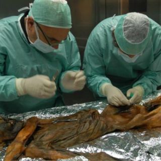 Encuentran 19 parientes vivos del 'hombre de los hielos'