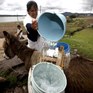 Municipios ignoran exhorto para cloración de agua