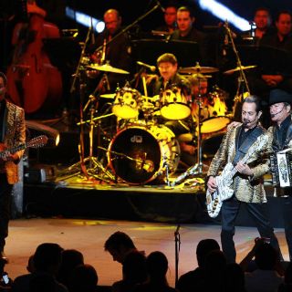 Los tigres son jefes, y lo parecen