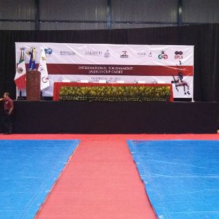 Planean Copa Jalisco de Luchas para cada año