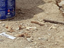 La osamenta se halló semienterrada en los areneros que se ubican a un costado de los campos de béisbol del referido deportivo. ARCHIVO /