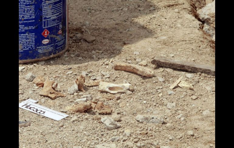 La osamenta se halló semienterrada en los areneros que se ubican a un costado de los campos de béisbol del referido deportivo. ARCHIVO /