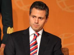 Peña asegura que las propuestas representarán importantes pasos en la protección de la dignidad de todo individuo.  /