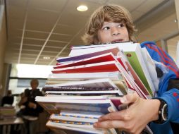 El voto no significa que los maestros utilizarán los libros para las clases, sino que tienen la opción de usarlos si lo desean. ARCHIVO /