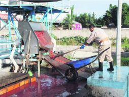 En el rastro zapopano invertirán, en total, 33 millones de pesos para mejoras en la operación e infraestructura.  /