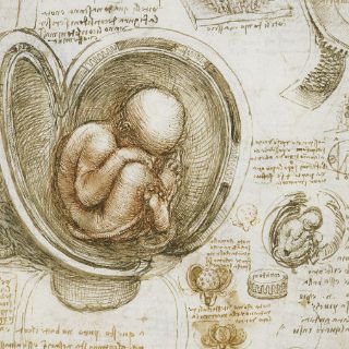 Exponen láminas de Leonardo Da Vinci en Puebla