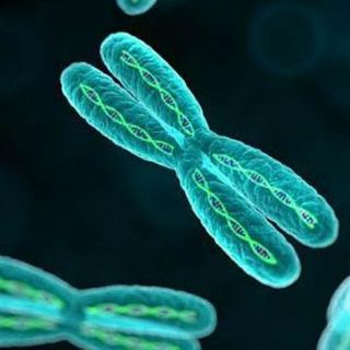 Identifican nuevos genes asociados al alzhéimer