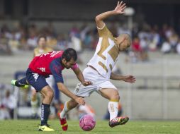 Aburrido encuentro entre Pumas y Tiburones al término de la jornada 15 del Apertura 2013. AP /