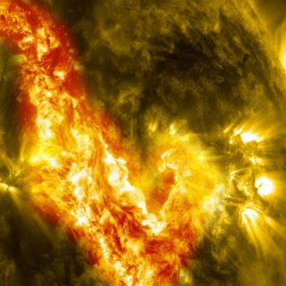 Así se hizo la luz en el Universo, según el astrónomo Richard Ellis