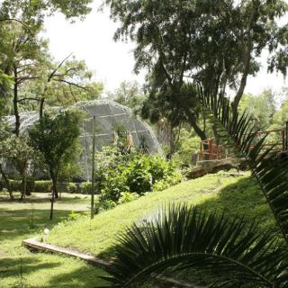 Ayuntamiento tapatío licitará concesión del Parque Agua Azul