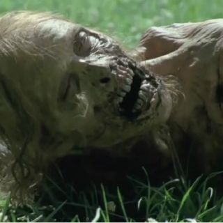 Anuncian quinta temporada de 'The Walking Dead'