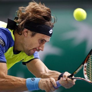 David Ferrer se clasifica para octavos en París-Bercy