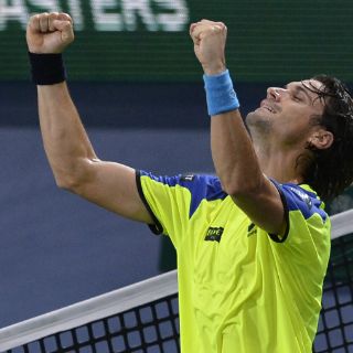 Ferrer y Djokovic clasifican a cuartos en París-Bercy