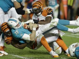 El quarterback de Delfines Ryan Tannehill, es tacleado por Carlos Dunlap y Michael Johnson de Bengalíes. AP /