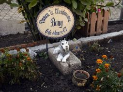 Algunas de las tumbas se encuentran decoradas, como ésta, en la que se recuerda a Bony. AFP /