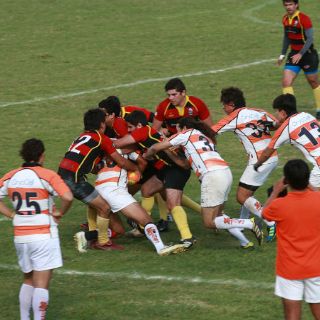 Rhinos busca la cima