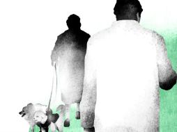 Los asesinos seriales de perros son más impunes que el resto de los delincuentes de México.  /