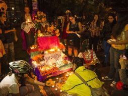 Urgen a las autoridades a hacerse responsables de esta grave problemática.  /