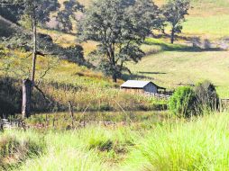Vista. La Cañada del Carmen ofrece un paisaje tranquilizador a quienes la visitan.  /