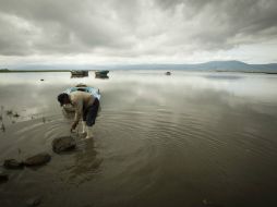 El lago de Chapala se encuentra por encima del 46 por ciento de su capacidad. ARCHIVO /