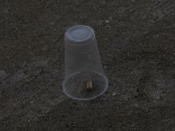 El padre de familia, que recibió un balazo, ya está siendo atendido quirúrgicamente. ARCHIVO /