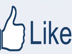 'El objetivo es ayudar a las personas a compartir más y mejor contenido a través de la web' SUN /