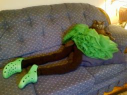 Los gatitos son fotografiados por sus dueños y las imágenes subidas a las redes sobre todo a Tumblr. ESPECIAL /