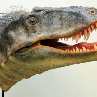 Hallan nuevo dinosaurio en Estados Unidos