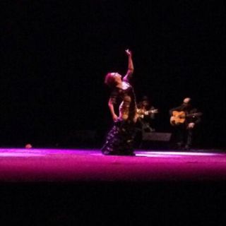 'Bailamos flamenco' deleita a público del Teatro de la Ciudad