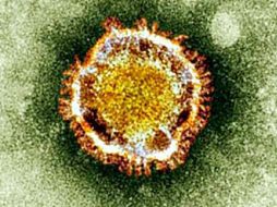 El brote del virus se encuentra en  Arabia Saudí, el último año han muerto casi 50 personas. ARCHIVO /