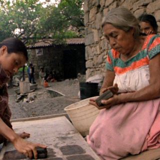 La UAM desarrolla proceso para elaborar papel amate