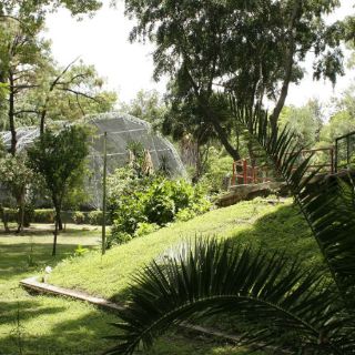 Se pronuncia MC contra concesión del Agua Azul