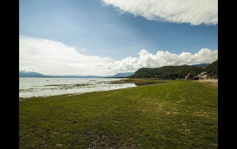 El Lago de Chapala registra mejores números comparado con mismas fechas del año anterior. ARCHIVO /