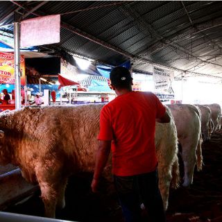 En México se desperdicia poco más de la tercera parte de comida