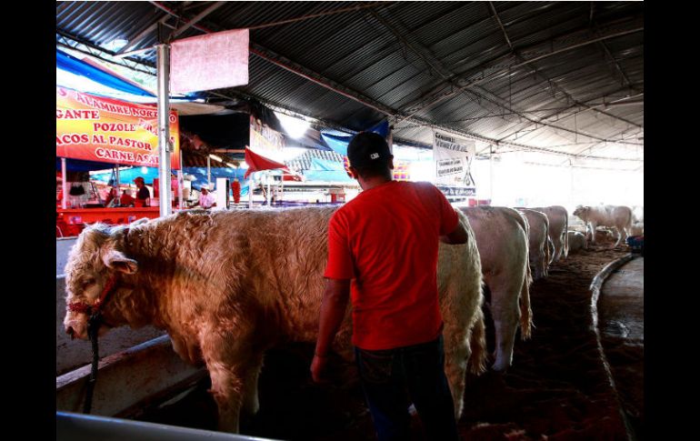 34.8 por ciento de la carne de res se despercia ARCHIVO /