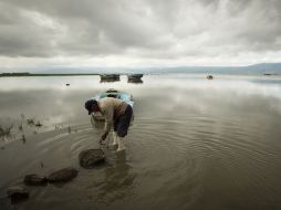 Desde 2011 se ha complicado el panorama de recuperación del Lago. ARCHIVO /