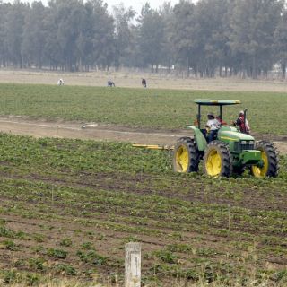 Clausuran el V Foro Internacional Agroalimentario en Vallarta
