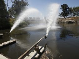 Existe un esfuerzo institucional y académico para lograr el objetivo de la reserva. ARCHIVO /